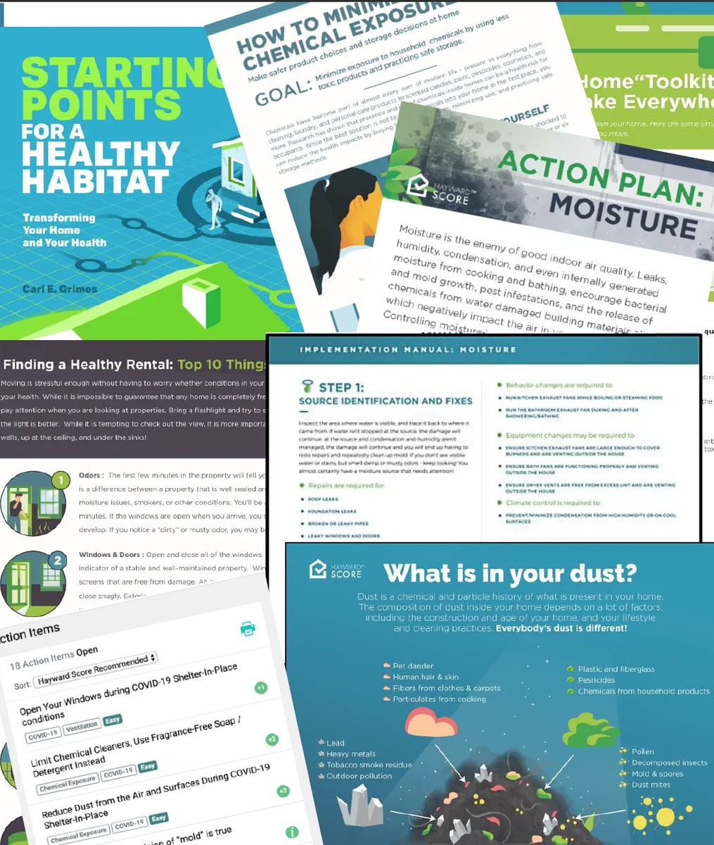 Collage of Hayward Score family explainers and action plans